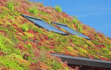 Sparrowpit living roof systems